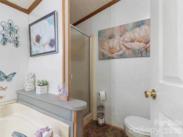1270 Old Mine Fork Road, Burnsville, NC 28714