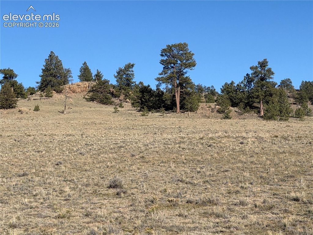 LOT 2220 Caddo Road, Hartsel, CO 80449 — photo 2