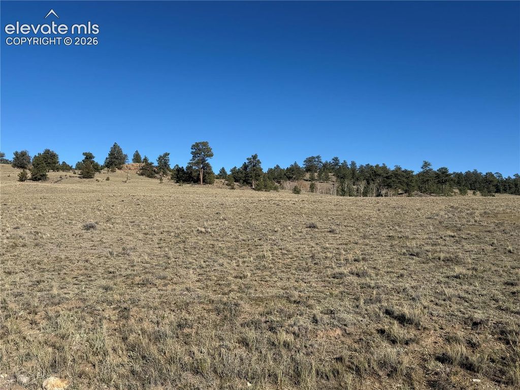 LOT 2220 Caddo Road, Hartsel, CO 80449 — photo 4