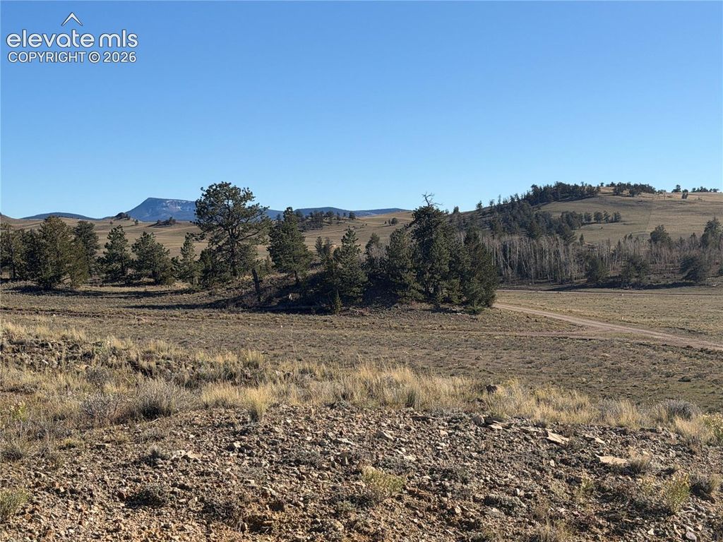 LOT 2220 Caddo Road, Hartsel, CO 80449 — photo 5
