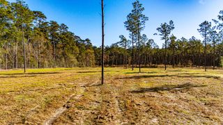 0020 Big Buck Drive, Moscow, TX 75960