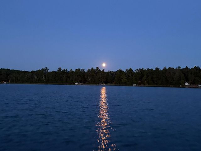 26905 Pelican Beach Road, Merrifield, MN 56465