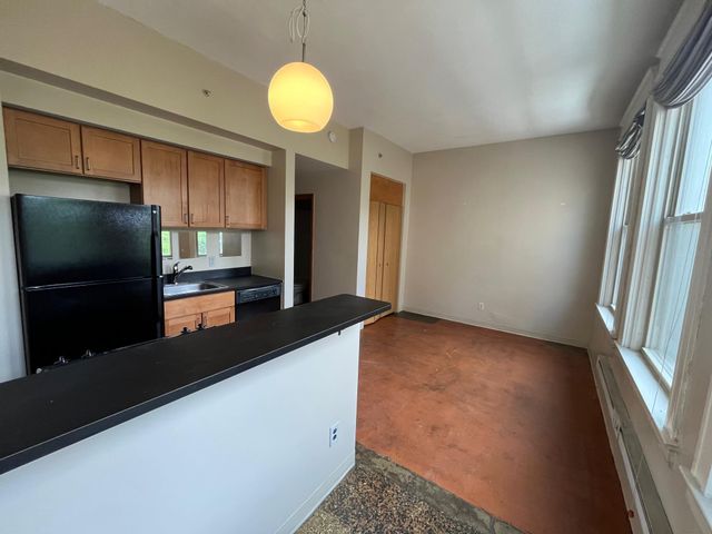 488 Wabasha Street N 305, Saint Paul, MN 55102