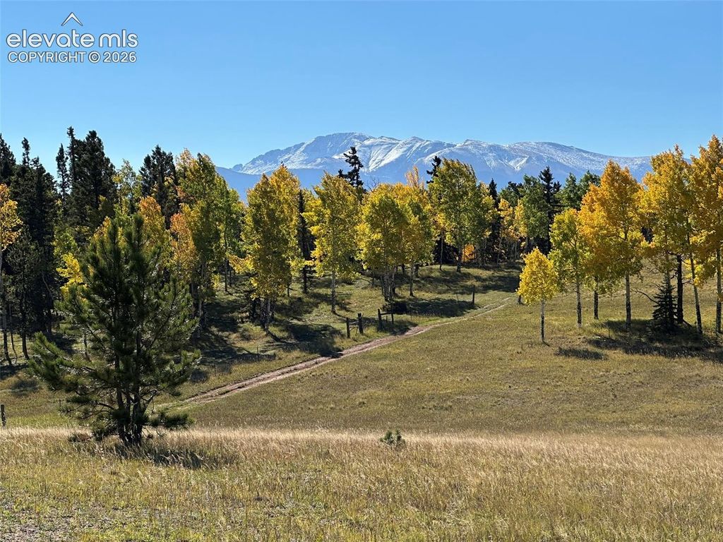 2940 North Road, Divide, CO 80814 — exterior
