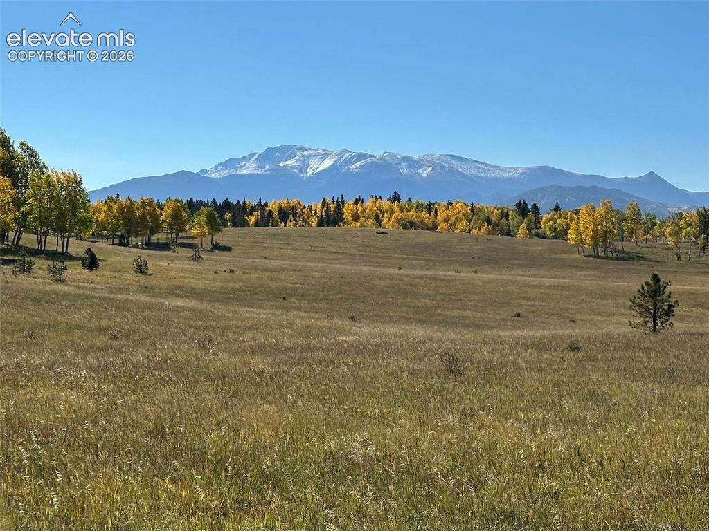 2940 North Road, Divide, CO 80814 — photo 2