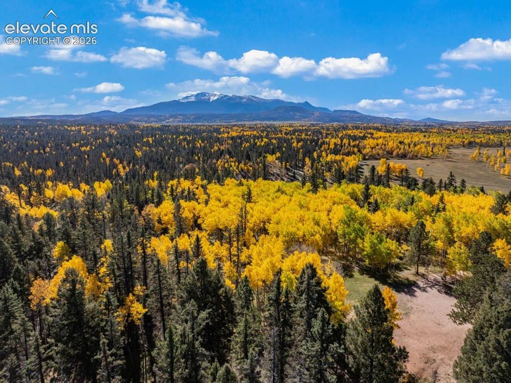 2940 North Road, Divide, CO 80814 — photo 4
