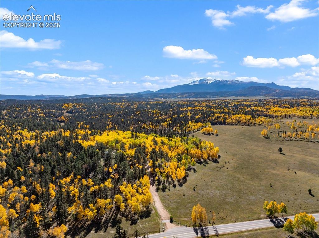 2940 North Road, Divide, CO 80814 — photo 5