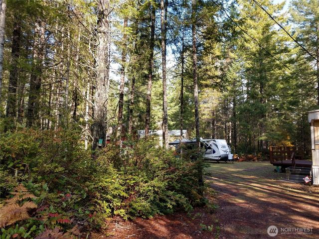 221 NE Madrona Avenue, Tahuya, WA 98588