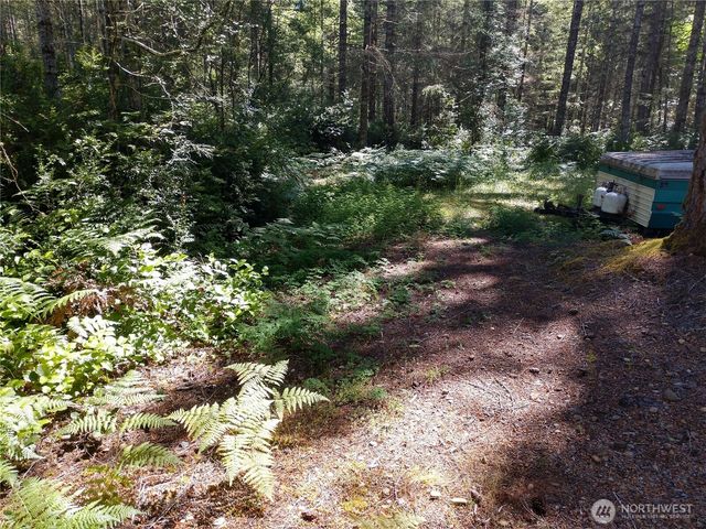221 NE Madrona Avenue, Tahuya, WA 98588