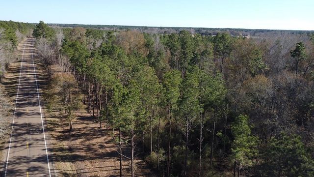358 Holcombe Road, Groveton, TX 75845