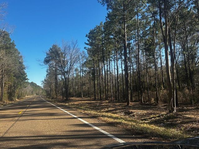 358 Holcombe Road, Groveton, TX 75845