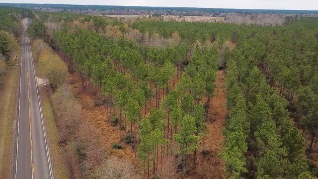 358 Holcombe Road, Groveton, TX 75845