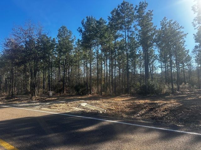 358 Holcombe Road, Groveton, TX 75845