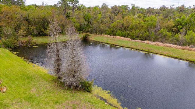 6111 HERONCREST COURT, Lithia, FL 33547