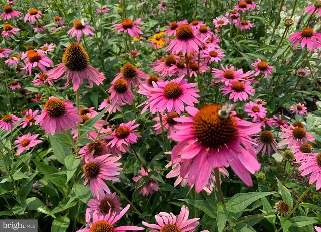 100 RIVER ROAD, Point Pleasant, PA 18947