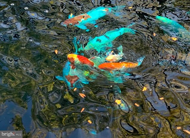 100 RIVER ROAD, Point Pleasant, PA 18947