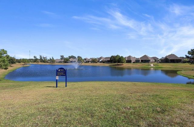 19017 Sonora Chase Drive, New Caney, TX 77357