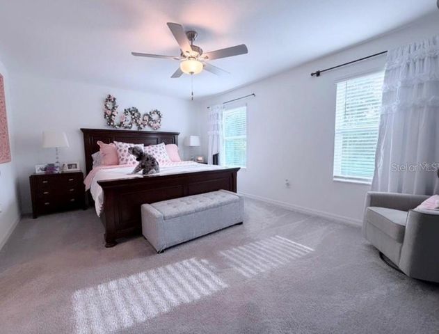 6047 ACARA LANE, Land O Lakes, FL 34638