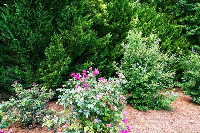 281 Petal Creek Lane, Jefferson, GA 30549