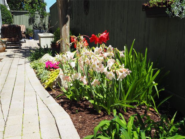 24 Hackberry Lane B, Houston, TX 77027