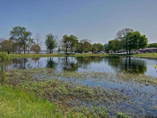 166 County Road 1559, Alba, TX 75410