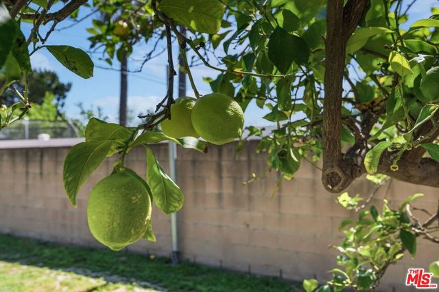 7020 Oakdale Avenue, Winnetka, CA 91306