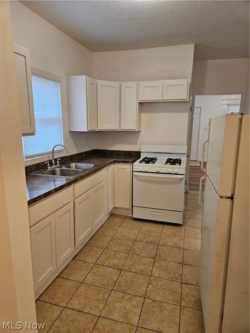 487 Talbot Avenue, Akron, OH 44306
