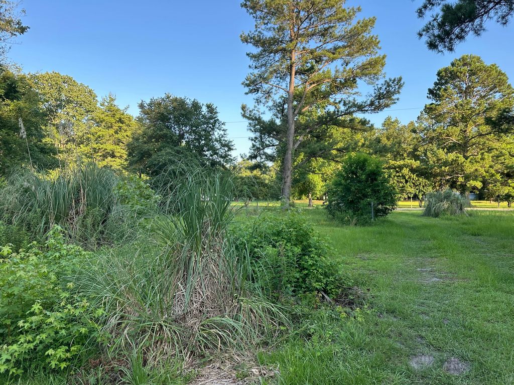 250 Lindaville Lane, Cottageville, SC 29435