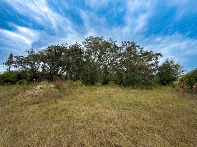 9947 COWLEY ROAD, Riverview, FL 33578