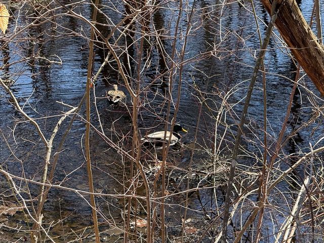 31 Swing Drive, Berkley, MA 02779