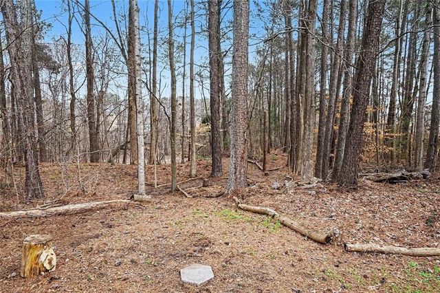 3855 Laurel Falls Drive, Snellville, GA 30039