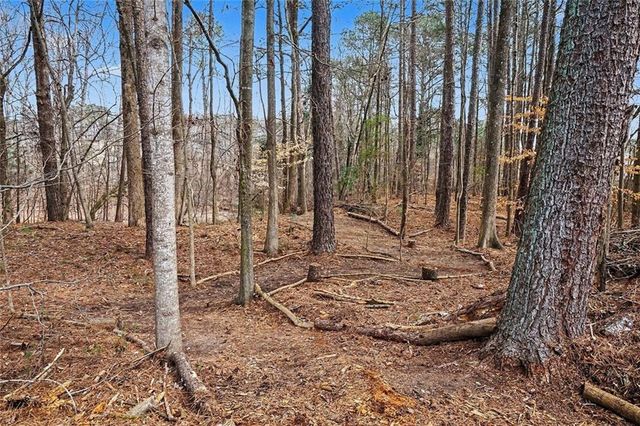 3855 Laurel Falls Drive, Snellville, GA 30039