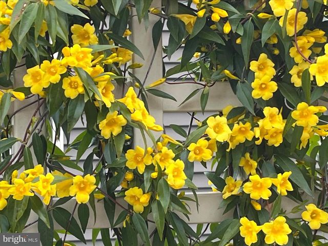 25016 TANNIN CIR, Milton, DE 19968