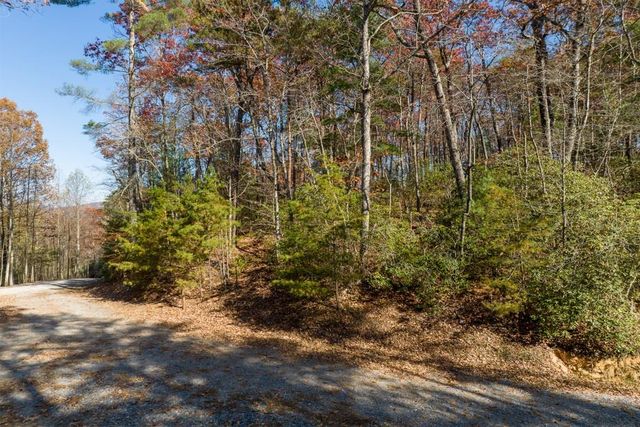 LOT 41 Preserve Trail, Ellijay, GA 30536