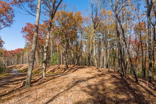 LOT 41 Preserve Trail, Ellijay, GA 30536