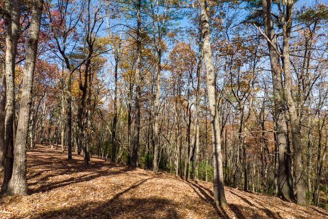 LOT 41 Preserve Trail, Ellijay, GA 30536