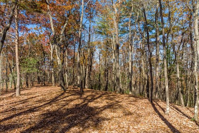 LOT 41 Preserve Trail, Ellijay, GA 30536