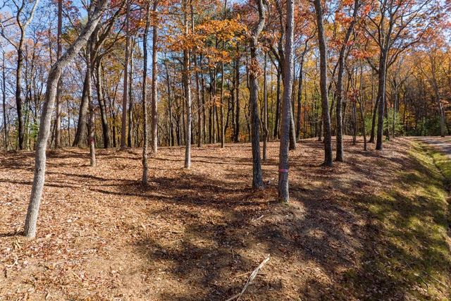 LOT 41 Preserve Trail, Ellijay, GA 30536