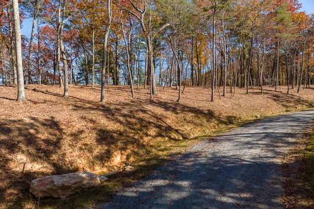 LOT 41 Preserve Trail, Ellijay, GA 30536