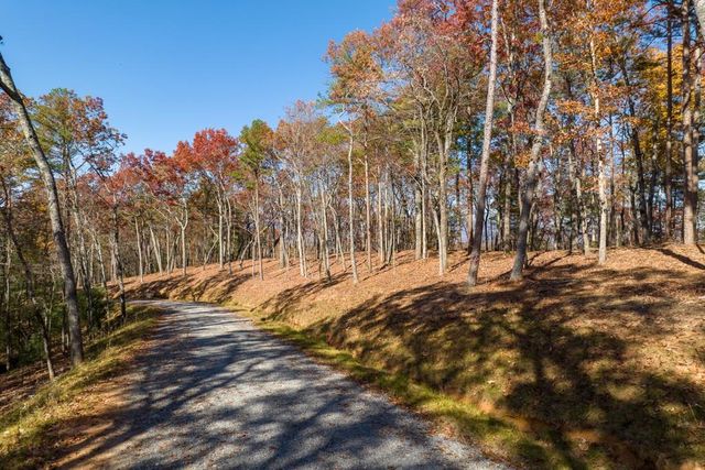LOT 41 Preserve Trail, Ellijay, GA 30536