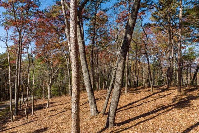 LOT 41 Preserve Trail, Ellijay, GA 30536