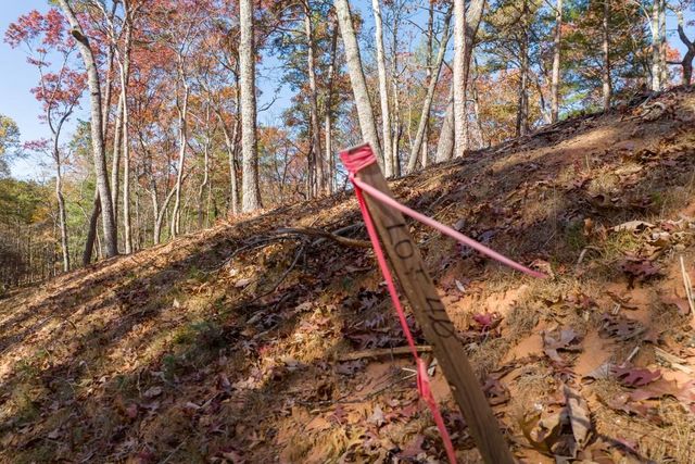 LOT 41 Preserve Trail, Ellijay, GA 30536