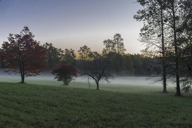 LOT 41 Preserve Trail, Ellijay, GA 30536