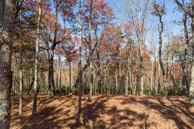 LOT 41 Preserve Trail, Ellijay, GA 30536