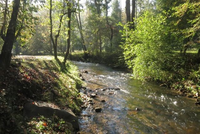 LOT 41 Preserve Trail, Ellijay, GA 30536