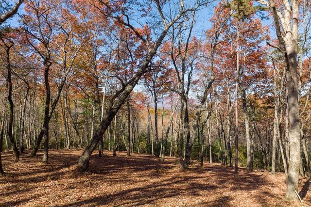 LOT 41 Preserve Trail, Ellijay, GA 30536