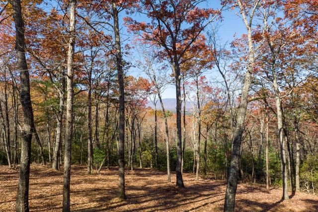 LOT 41 Preserve Trail, Ellijay, GA 30536
