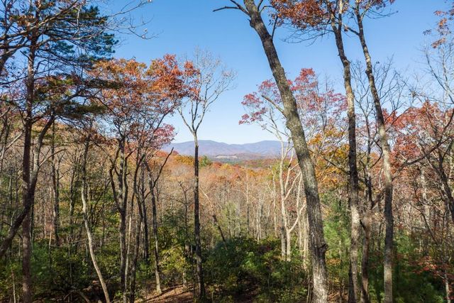 LOT 41 Preserve Trail, Ellijay, GA 30536