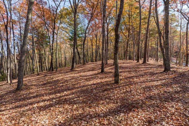 LOT 41 Preserve Trail, Ellijay, GA 30536