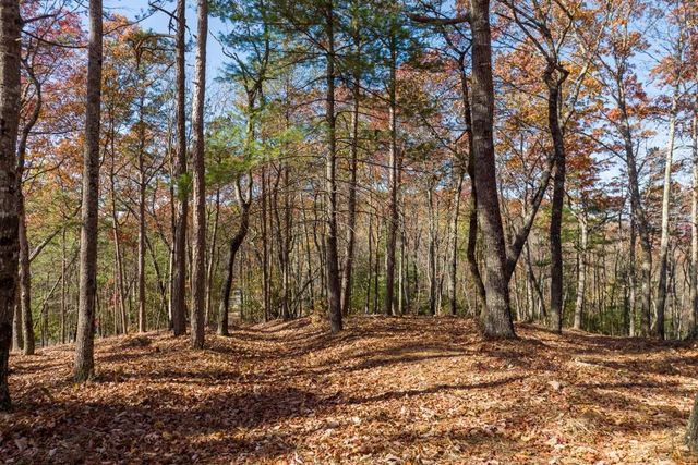 LOT 41 Preserve Trail, Ellijay, GA 30536